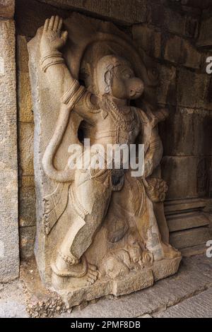 Inde, Karnataka, Hampi, classée au patrimoine mondial de l'UNESCO, temple Madhuva Ranga, sculpture de Hanuman Banque D'Images