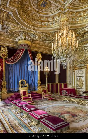 France, Seine-et-Marne, Fontainebleau, château de Fontainebleau classé au patrimoine mondial de l'UNESCO, salle du trône, ancienne chambre du roi d'Henri III à Louis XVI, elle fut transformée en salon de l'empereur par Napoléon I en 1804, puis en salle du trône en 1808 Banque D'Images
