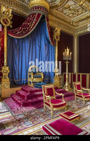 France, Seine-et-Marne, Fontainebleau, château de Fontainebleau classé au patrimoine mondial de l'UNESCO, salle du trône, ancienne chambre du roi d'Henri III à Louis XVI, elle fut transformée en salon de l'empereur par Napoléon I en 1804, puis en salle du trône en 1808 Banque D'Images