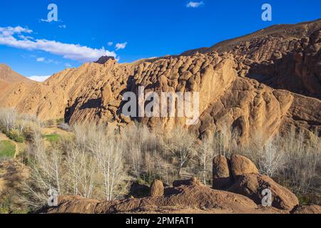 Maroc, Vallée des Dades, hameau de Tamellalt, falaise de doigts de singe Banque D'Images