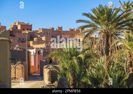 Maroc, province de Zagora, n'Kob (ou Nkob), village de 45 kasbahs Banque D'Images