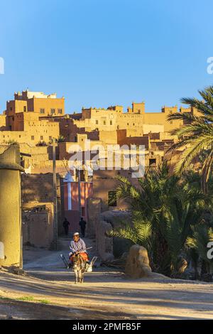 Maroc, province de Zagora, n'Kob (ou Nkob), village de 45 kasbahs Banque D'Images