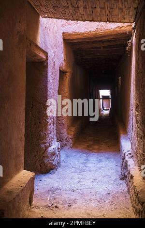 Maroc, Zagora, Ksar Tissergate, village fortifié, l'un des plus conservés de ksours dans le sud du Maroc Banque D'Images