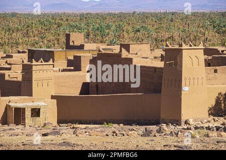 Maroc, Zagora, Ksar Tissergate, village fortifié, l'un des plus conservés de ksours dans le sud du Maroc Banque D'Images