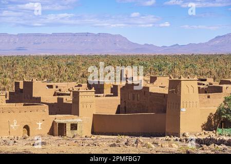 Maroc, Zagora, Ksar Tissergate, village fortifié, l'un des plus conservés de ksours dans le sud du Maroc Banque D'Images