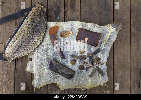 France, Indre et Loire, vallée de la Loire classée au patrimoine mondial par l'UNESCO, Saint-Genouph, Marion Clément (atelier clandestin) améliore les peaux de poissons de la Loire en les bronzant pour faire du cuir et des objets qu'elle crée, des bijoux; sac de tabac, porte-clés, sac banane, étui à lunettes, étui à couteau, placé sur une peau de poisson-chat Banque D'Images