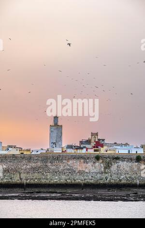 Maroc, El Jadida, la ville fortifiée portugaise de Mazagan classée au patrimoine mondial de l'UNESCO, construite par les Portugais au début du 16th siècle, les remparts de la citadelle et le minaret de la grande mosquée Al Masjid Al Atiq Banque D'Images