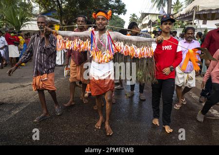 Inde, Kerala, Paramur, festival hindou de Thaipusam, les participants ayant été percés en transe Banque D'Images