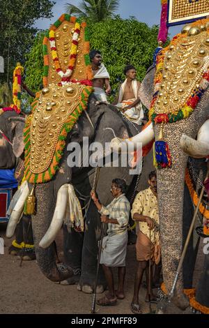 Inde, Kerala, Seematti, festival hindou de Thaipusam Banque D'Images