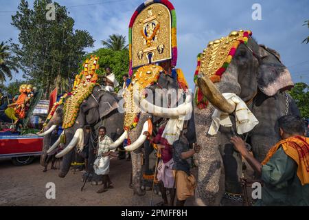 Inde, Kerala, Seematti, festival hindou de Thaipusam Banque D'Images