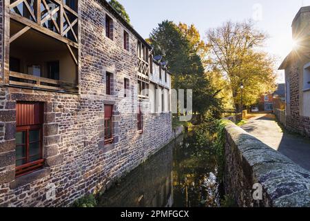 France, Ille-et-Vilaine, Montfort-sur-Meu, la rivière garun à l'automne Banque D'Images