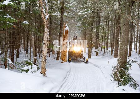 Canada, province de Québec, Parc régional du Lac Taureau, motoneige hors piste Banque D'Images