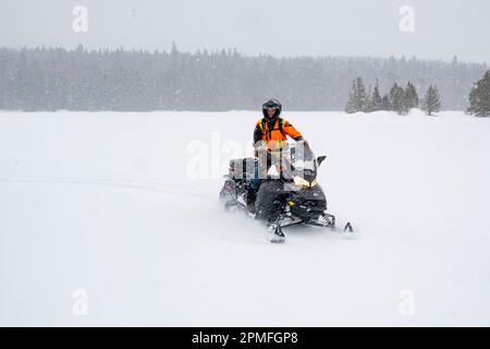 Canada, province de Québec, Parc régional du Lac Taureau, motoneige hors piste Banque D'Images