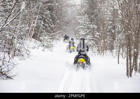 Canada, province de Québec, Parc régional du Lac Taureau, motoneige sur piste Banque D'Images