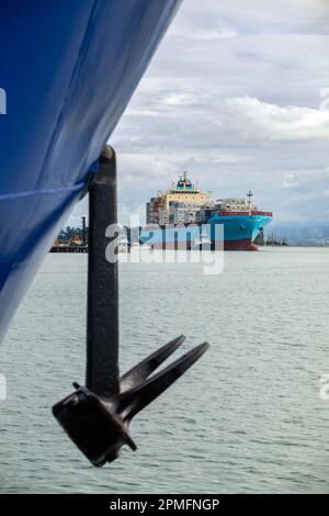 Photo de Tim Cuff - 13 avril 2023 - activité autour de Port Nelson, à l'arrivée du bateau à conteneurs Maersk Inverness, Nelson, Nouvelle-Zélande Banque D'Images