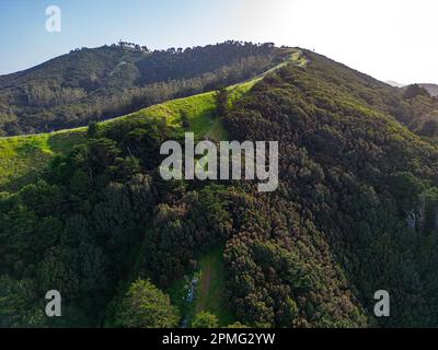 Vue aérienne sur les collines volcaniques vertes près de la Villa de Valverde sur l'île El Hierro. Îles Canaries, Espagne. Banque D'Images