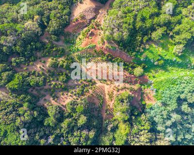 Vue aérienne sur les collines volcaniques vertes près de la Villa de Valverde sur l'île El Hierro. Îles Canaries, Espagne. Banque D'Images