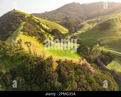 Vue aérienne sur les collines volcaniques vertes près de la Villa de Valverde sur l'île El Hierro. Îles Canaries, Espagne. Banque D'Images