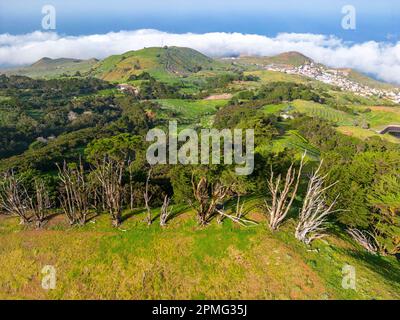 Vue aérienne sur les collines volcaniques vertes près de la Villa de Valverde sur l'île El Hierro. Îles Canaries, Espagne. Banque D'Images
