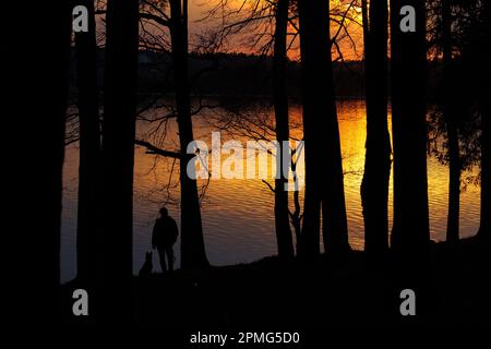 Homme avec un chien debout près du lac à la lumière du coucher de soleil entouré d'arbres. Photo d'espace négative Banque D'Images