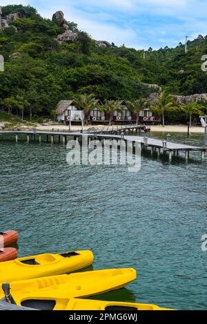 Beaucoup de kayaks colorés flottant en mer au Vietnam près des maisons et des palmiers Banque D'Images