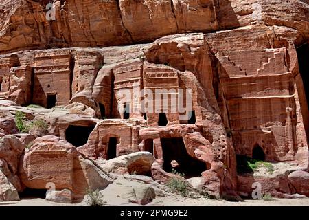 Rue des Façades présentant des rangées de petites tombes nabatéennes taillées dans la roche, creusées dans les immenses falaises de grès sous un ciel bleu clair à Petra, en Jordanie. Banque D'Images