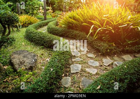 Décor luxueux du jardin tropical. Banque D'Images