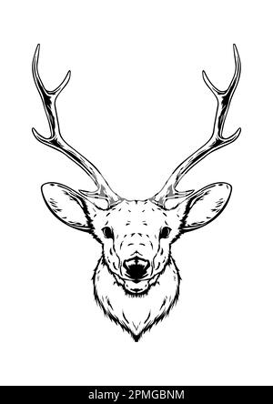 Motif vectoriel plat tête de cerf noir et blanc Illustration de Vecteur