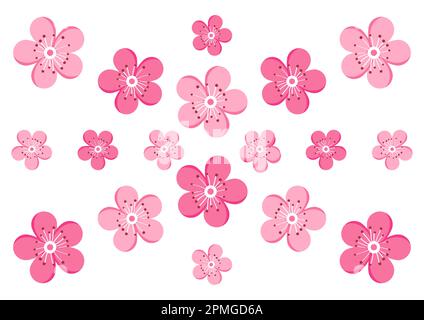 Décoration en fleur de cerisier sur fond blanc vectoriel Illustration de Vecteur