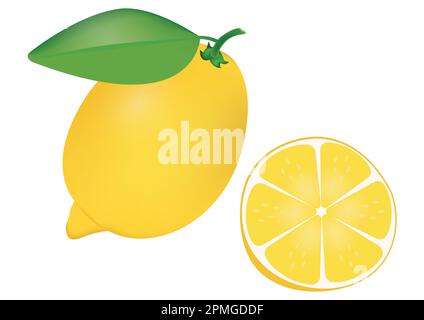 Citron réaliste sur clipart et moitié de citron Illustration de Vecteur
