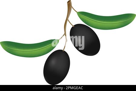 Clipart Vector Noir Olive Illustration de Vecteur