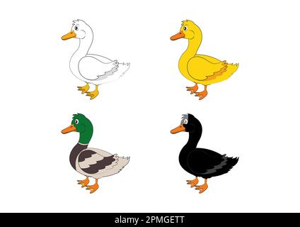 Canards de différentes couleurs. Canard vectoriel Illustration de Vecteur