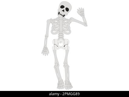 Bonjour Skeleton. Squelette de dessin animé. Illustration vectorielle du squelette Illustration de Vecteur