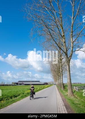 Femme manèges à vélo sur la route de campagne près de la ferme avec des fleurs de printemps sous le ciel bleu en hollande près d'Utrecht en hollande Banque D'Images