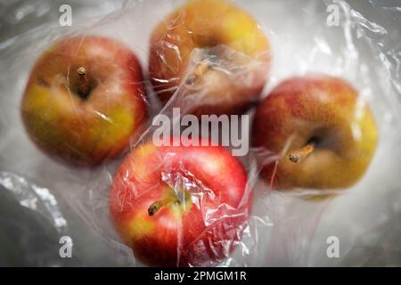 Image symbolique sur le thème de la nutrition et des déchets d'emballage. Quatre pommes sortent sous une feuille de plastique. Berlin, 13 avril 2023. Banque D'Images