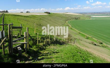 Piquer sur un sentier public le long du Fyfield en descendant l'escarpement au-dessus de la vallée de Pewsey, Wiltshire. Banque D'Images