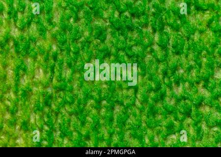 Fond vert foncé d'un tissu avec motif en osier, gros plan. Structure du tissu émeraude avec texture. Toile de fond douce. Banque D'Images