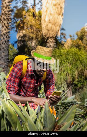 Homme africain prenant une photo d'un Bougainvillea dans le jardin botanique de Barcelone (Espagne). Banque D'Images