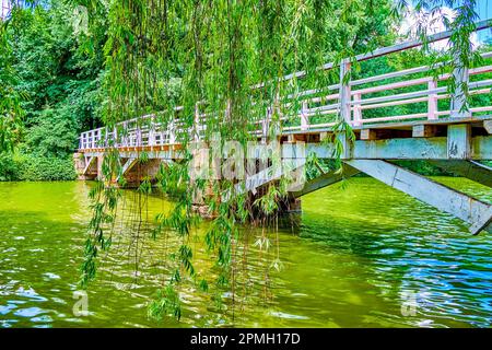 L'ancien pont en bois sur Upper Lake mène à Love Island, Sofiyivka Park, Uman, Ukraine Banque D'Images