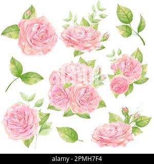 Bouquets de roses aquarelles Beatuful. Une clique de mariage. Ensemble fleuri. Banque D'Images