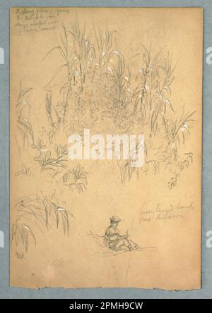 Dessin, Une étude détaillée d'un homme assis et d'un groupe de plantes, Équateur; église Frédéric Edwin (américaine, 1826–1900); Équateur; graphite, pinceau et gouache blanc sur papier couleur crème; feuille: 25,9 x 17,6 cm (10 3/16 x 6 15/16 po) Banque D'Images