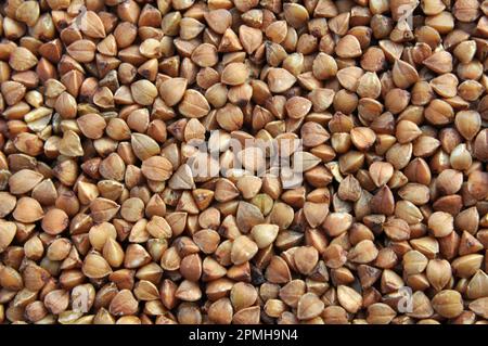 Arrière-plan de grains secs battus céréales sarrasin Banque D'Images