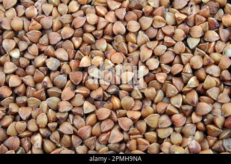 Arrière-plan de grains secs battus céréales sarrasin Banque D'Images