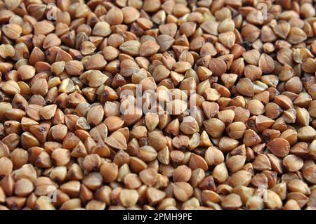 Arrière-plan de grains secs battus céréales sarrasin Banque D'Images