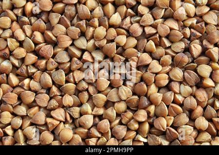 Arrière-plan de grains secs battus céréales sarrasin Banque D'Images