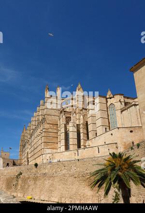 Palma de Majorque, Espagne -30 mars 2023. Vue sur la célèbre attraction touristique Cathédrale la Seu, Palma de Majorque, symbole de la ville, plus grand chu gothique Banque D'Images