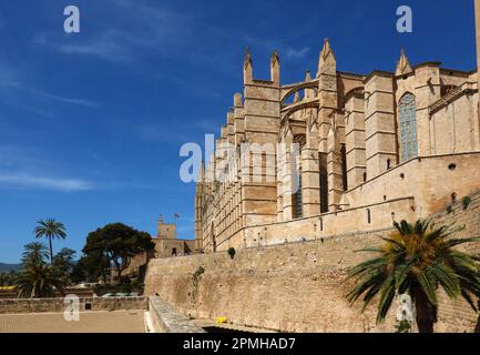 Palma de Majorque, Espagne -30 mars 2023. Vue sur la célèbre attraction touristique Cathédrale la Seu, Palma de Majorque, symbole de la ville, plus grand chu gothique Banque D'Images