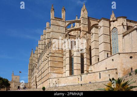 Palma de Majorque, Espagne -30 mars 2023. Vue sur la célèbre attraction touristique Cathédrale la Seu, Palma de Majorque, symbole de la ville, plus grand chu gothique Banque D'Images