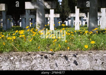 Printemps dans le cimetière militaire italien, Zeitelnik, Thessalonique Banque D'Images