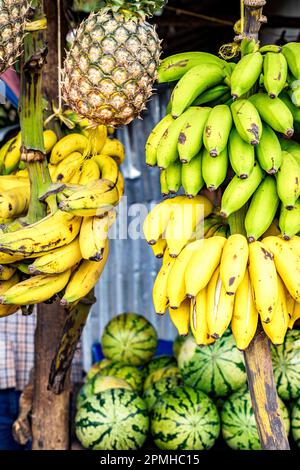 Bananes et ananas en vente dans une boutique de fruits, Zanzibar, Tanzanie, Afrique de l'est, Afrique Banque D'Images